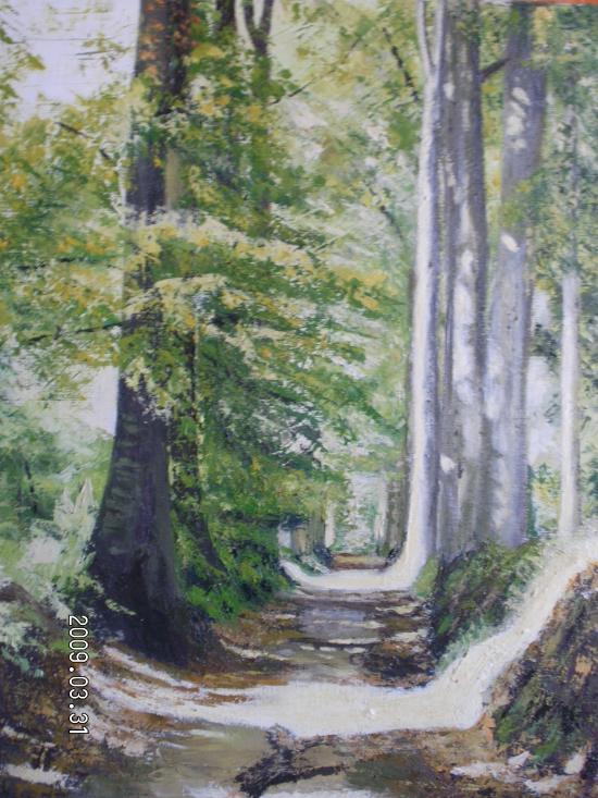 Drève du Conte