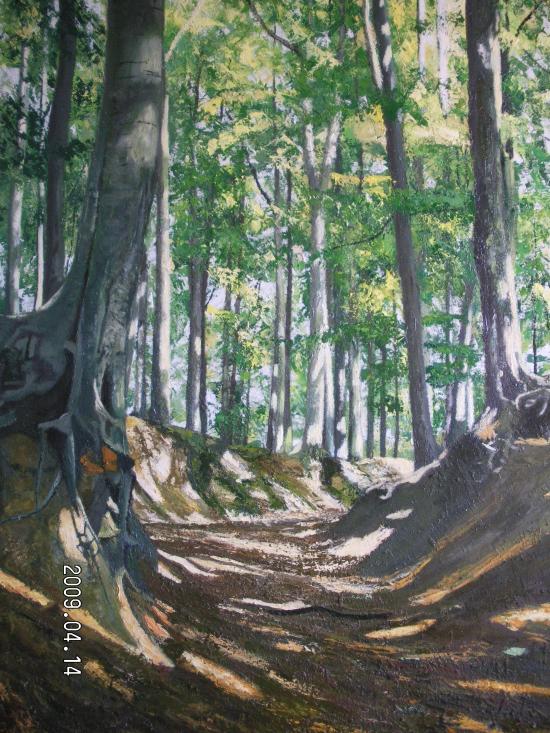 Forêt de Soigne