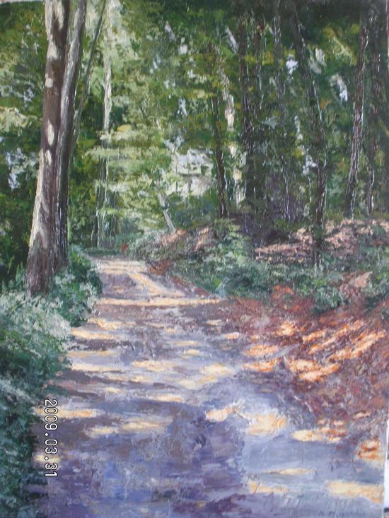 Forêt de Soigne
