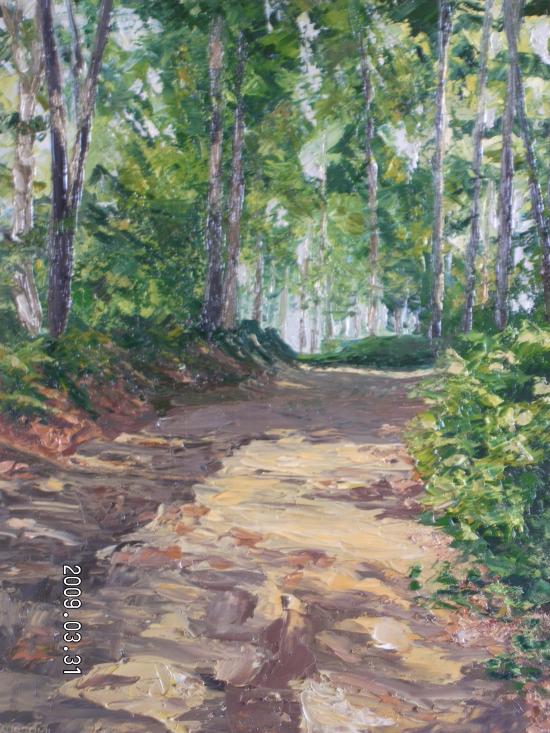 Forêt de Soigne