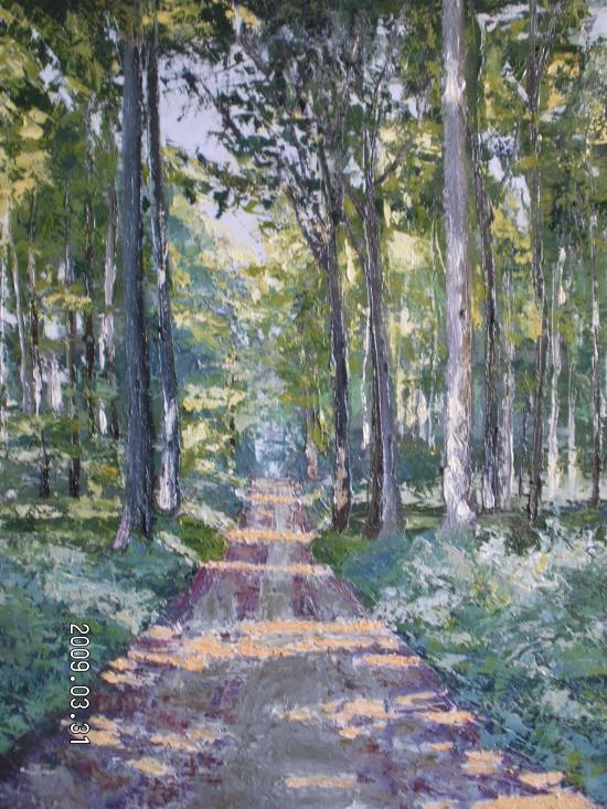 Forêt de Soigne