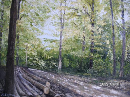 Forêt de Soigne