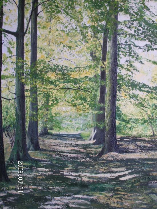 Forêt de Soigne